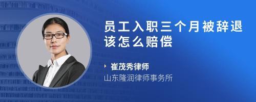 工厂工作三个月被解雇，如何依法争取赔偿？